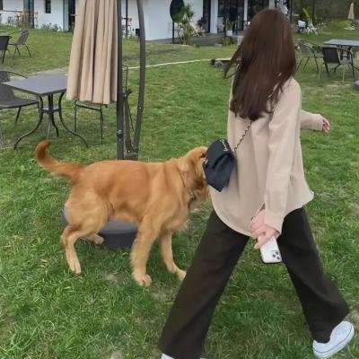 小小少年第二季
